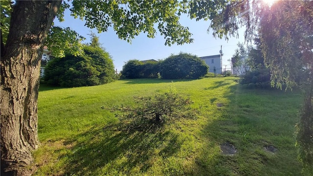 93 8th Ave, Ross Twp, PA 15229 - view of green lawn