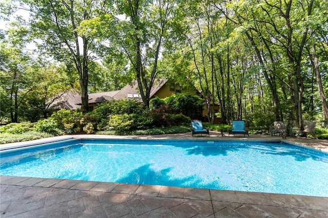 99 Wiggins Ln, South Union Twp, PA 15401 - view of outdoor pool