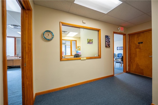 3519 Bigelow Blvd, Oakland, PA 15213 - hall with a paneled ceiling, carpet flooring, and healthy amount of natural light