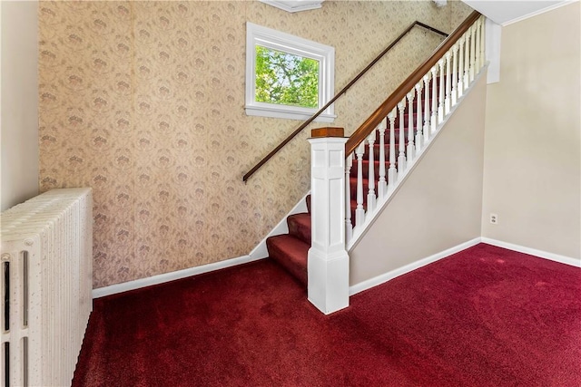 11 Old Mill Rd, Wharton Twp, PA 15470 - stairs with radiator heating unit, carpet, and wallpapered walls