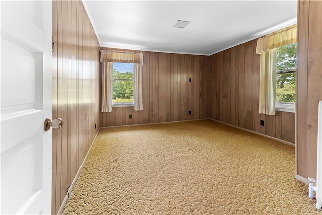 11 Old Mill Rd, Wharton Twp, PA 15470 - spare room with plenty of natural light, wooden walls, and carpet flooring