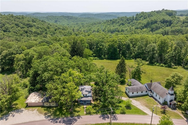 11 Old Mill Rd, Wharton Twp, PA 15470 - view from above of property featuring a forest