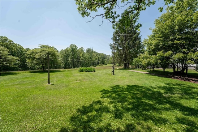 11 Old Mill Rd, Wharton Twp, PA 15470 - view of home's community with a yard and a wooded view