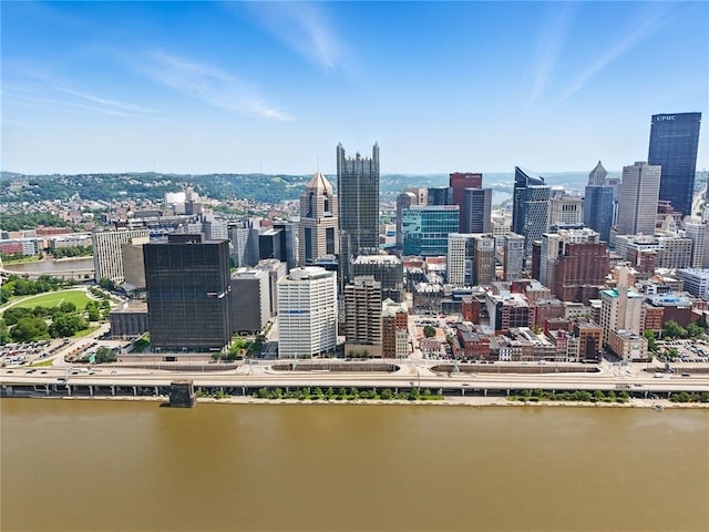 151 Fort Pitt Blvd Unit 1403, Downtown Pgh, PA 15222 - view of city skyline with a large body of water