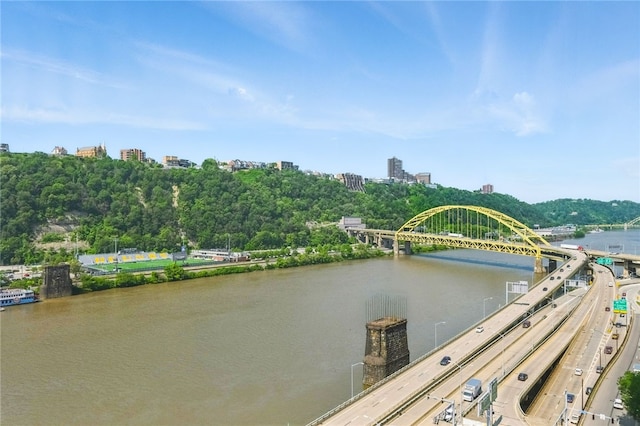 151 Fort Pitt Blvd Unit 1403, Downtown Pgh, PA 15222 - water view with a notable bridge and nearby urban area