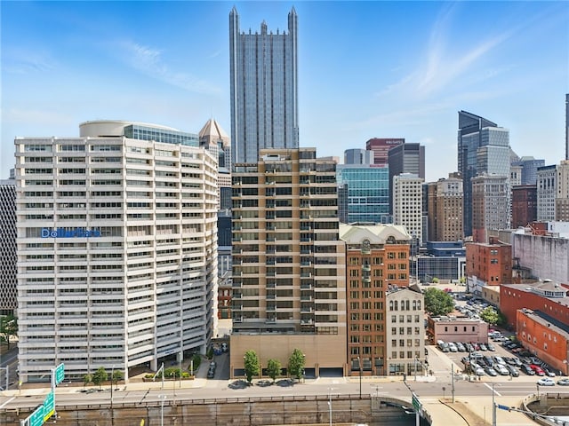151 Fort Pitt Blvd Unit 1403, Downtown Pgh, PA 15222 - view of city