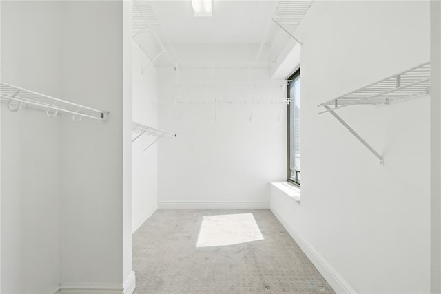 151 Fort Pitt Blvd Unit 1403, Downtown Pgh, PA 15222 - walk in closet with carpet floors