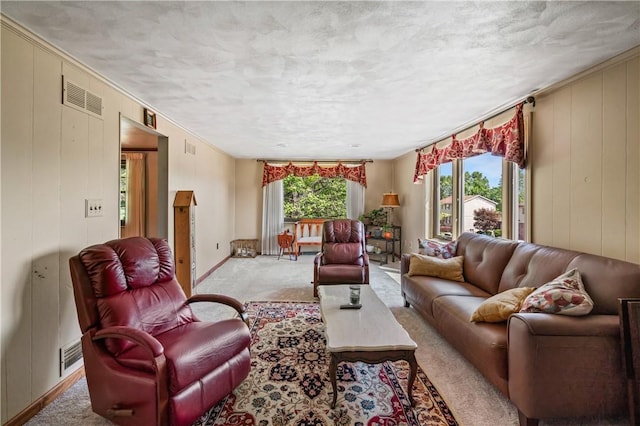 401 Middlesex Rd, Elizabeth Twp/Boro, PA 15135 - living room featuring carpet flooring, crown molding, and a textured ceiling