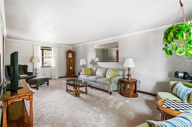 401 Middlesex Rd, Elizabeth Twp/Boro, PA 15135 - living room with carpet and crown molding