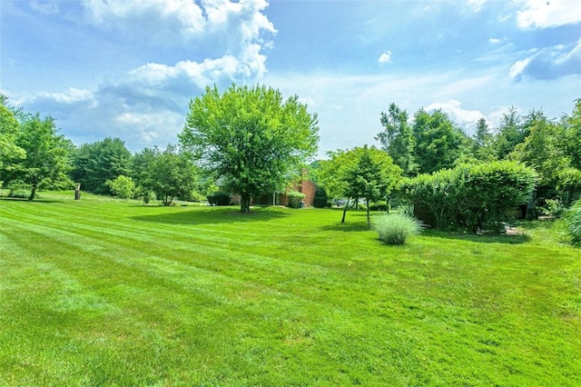 4032 Sardis Rd, Murrysville, PA 15668 - view of grassy yard