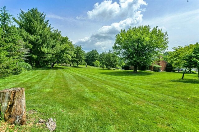 4032 Sardis Rd, Murrysville, PA 15668 - view of grassy yard