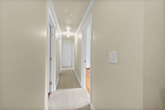 4032 Sardis Rd, Murrysville, PA 15668 - corridor featuring carpet flooring and ornamental molding
