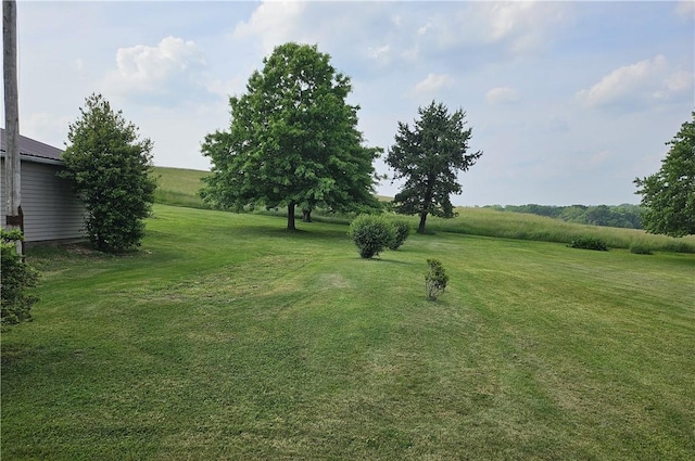 169 Fergus Rd, Slippery Rock Twp But, PA 16057 - view of grassy yard
