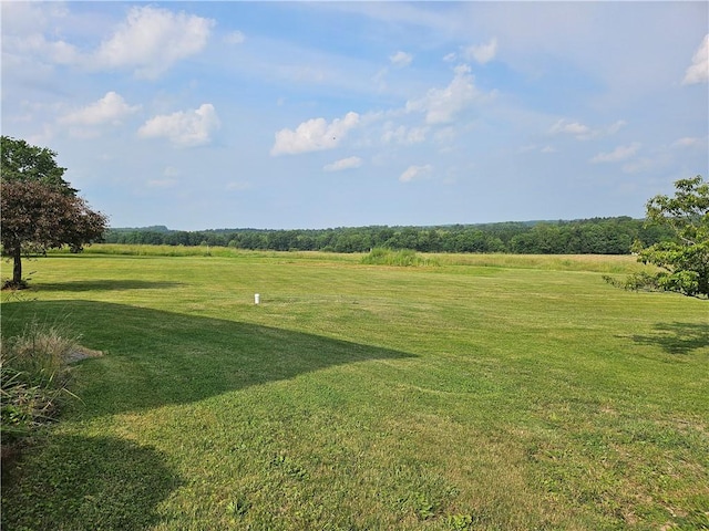 169 Fergus Rd, Slippery Rock Twp But, PA 16057 - view of green lawn