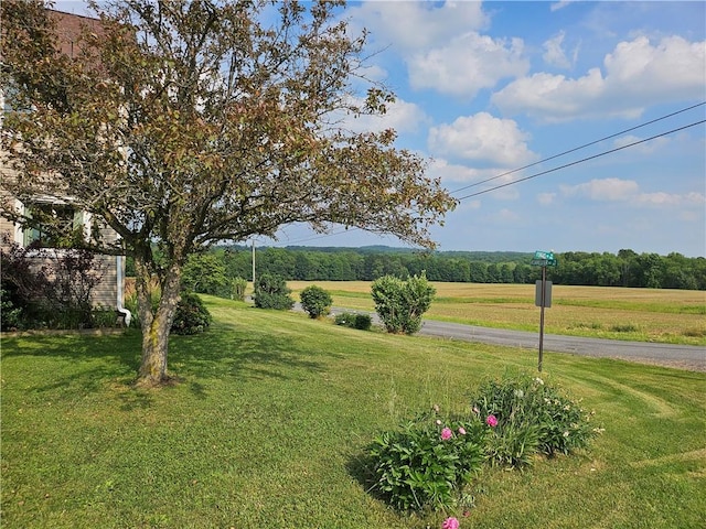 169 Fergus Rd, Slippery Rock Twp But, PA 16057 - view of green lawn with a view of rural / pastoral area
