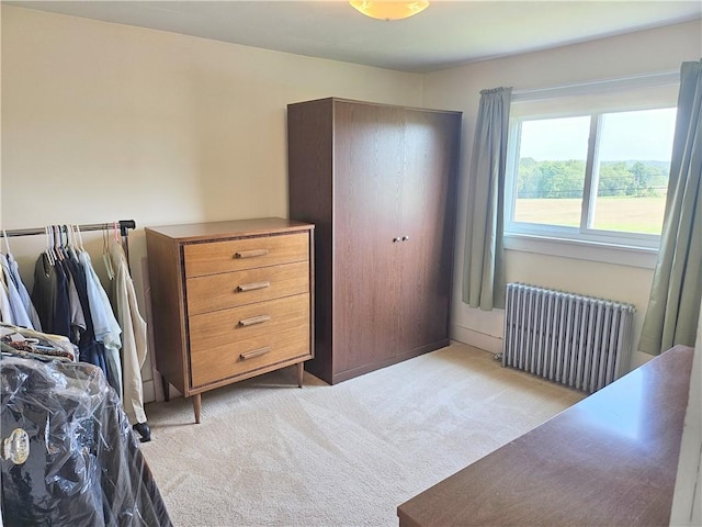 169 Fergus Rd, Slippery Rock Twp But, PA 16057 - bedroom featuring radiator and light carpet