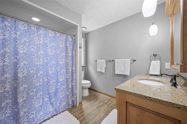 3004 Woodfield Dr, Hopewell Twp Bea, PA 15001 - full bath with vanity, wood finished floors, and a shower with shower curtain