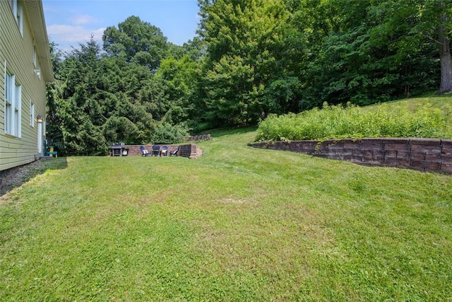 3004 Woodfield Dr, Hopewell Twp Bea, PA 15001 - view of green lawn