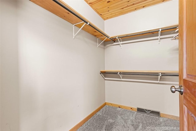 1155 Sarver Rd, South Buffalo Twp, PA 16055 - walk in closet with carpet flooring