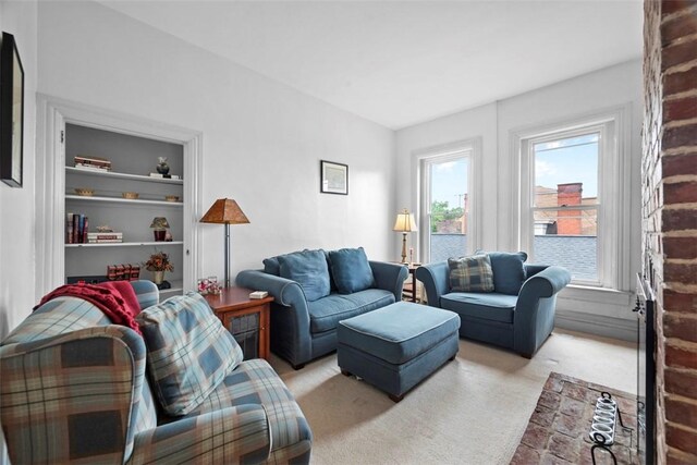 813 S Braddock Ave Unit 5, Regent Square, PA 15221 - living room with light carpet and built in features