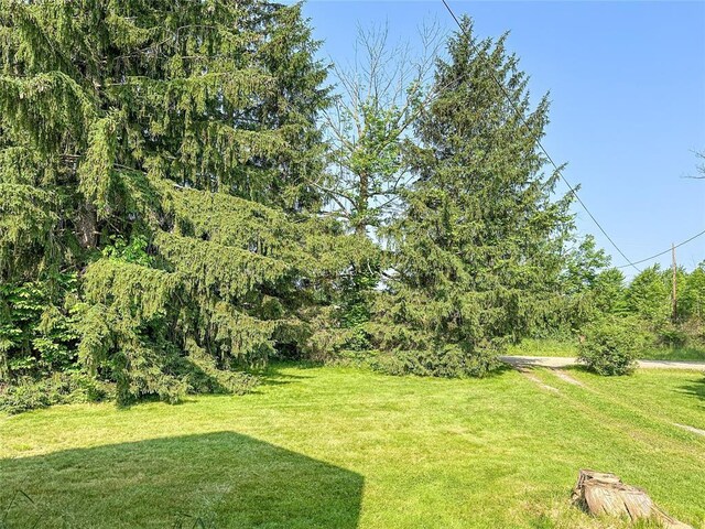 21380 S Center Rd, Spring, PA 16406 - photo 43