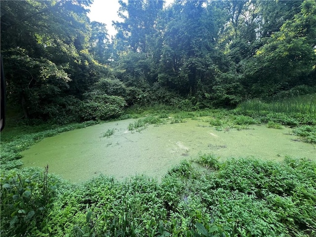 516 Chestnut Ridge Rd, Amwell, PA 15301 - view of tree filled area