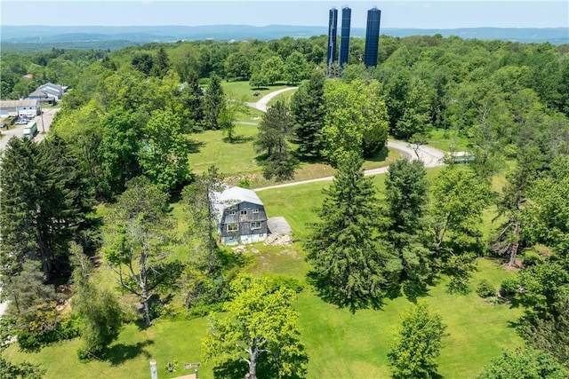 4731 National Pike, Wharton Twp, PA 15459 - bird's eye view of a heavily wooded area