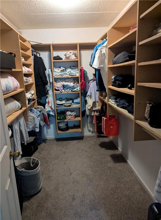 2120 Greentree Rd Unit 309E, Pittsburgh, PA 15220 - walk in closet with carpet floors