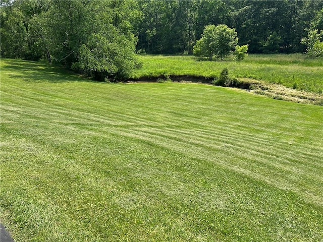 71 Armstrong Dr, Canton Twp, PA 15301 - view of grassy yard
