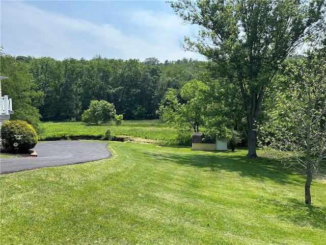 71 Armstrong Dr, Canton Twp, PA 15301 - view of grassy yard featuring a storage unit