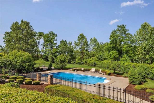 7023 Fair Oaks Dr, Export, PA 15632 - view of swimming pool with a patio