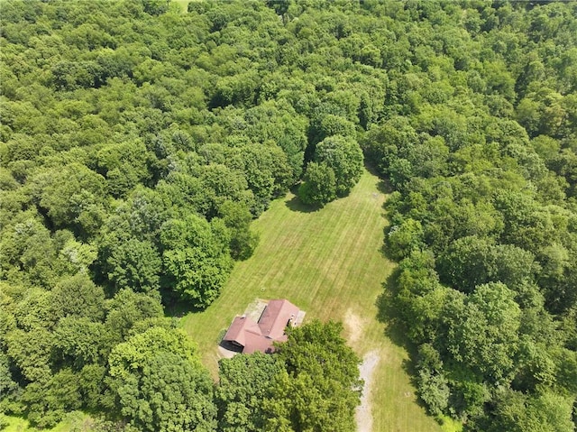 117 Stoneys Ln, Lehigh Twp, PA 16063 - view of subject property