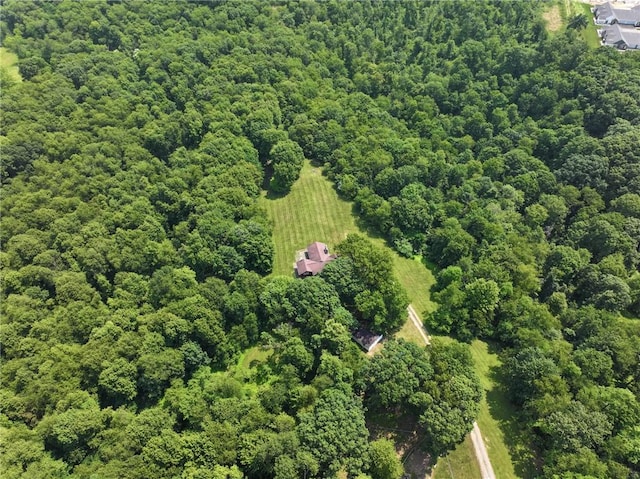 117 Stoneys Ln, Lehigh Twp, PA 16063 - bird's eye view
