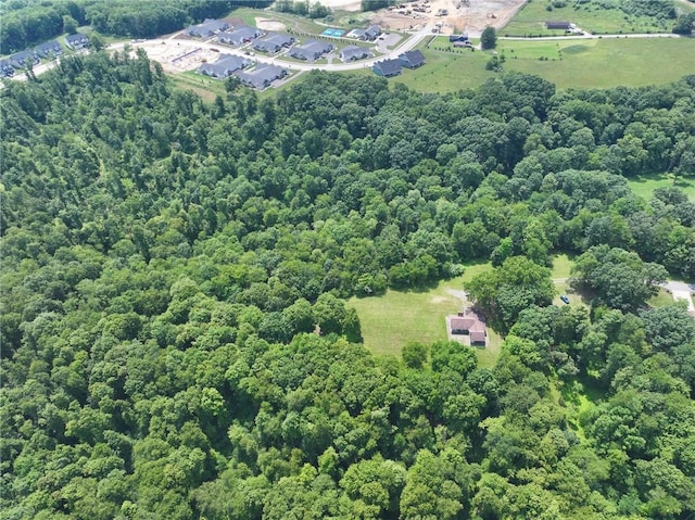 117 Stoneys Ln, Lehigh Twp, PA 16063 - view of property location featuring a forest