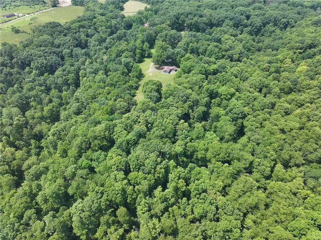 117 Stoneys Ln, Lehigh Twp, PA 16063 - aerial view of property and surrounding area featuring a forest
