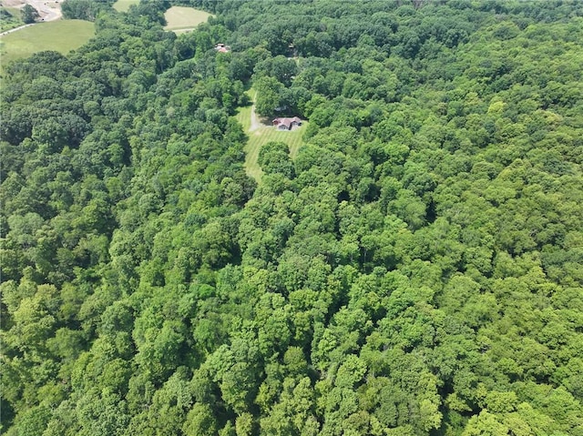 117 Stoneys Ln, Lehigh Twp, PA 16063 - view of property location with a forest