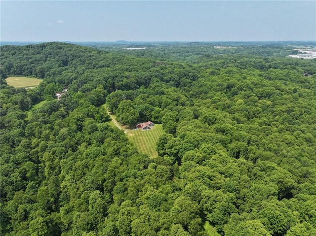 117 Stoneys Ln, Lehigh Twp, PA 16063 - bird's eye view of a forest