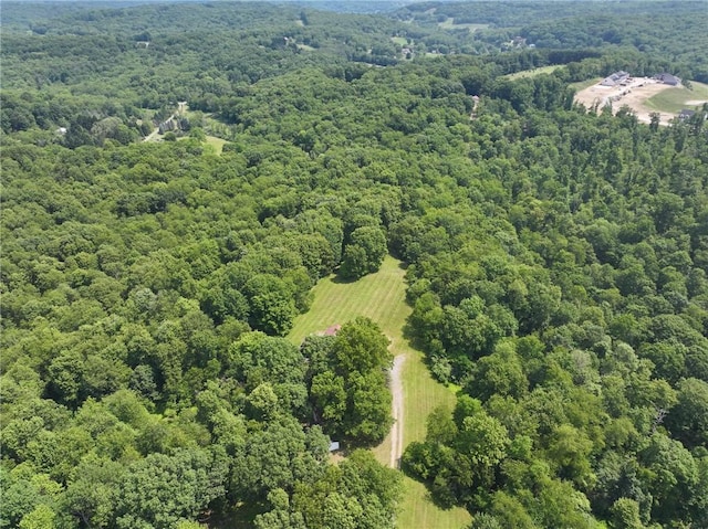 117 Stoneys Ln, Lehigh Twp, PA 16063 - drone / aerial view of a heavily wooded area