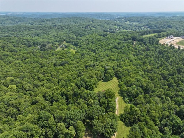 117 Stoneys Ln, Lehigh Twp, PA 16063 - drone / aerial view of a forest
