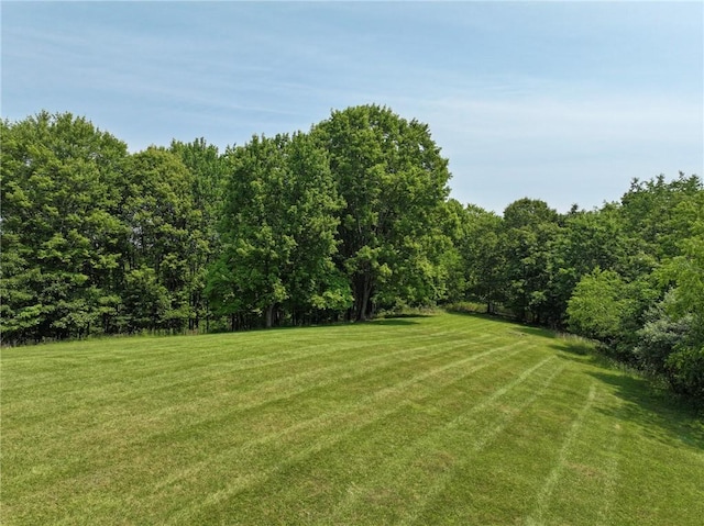 117 Stoneys Ln, Lehigh Twp, PA 16063 - view of grassy yard