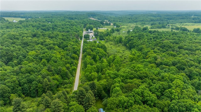 840 Sunol Rd, Deer Creek, PA 16314 - bird's eye view of a forest