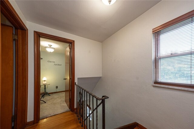 3037 Churchview, Baldwin Boro, PA 15227 - hall with an upstairs landing, wood finished floors, and healthy amount of natural light