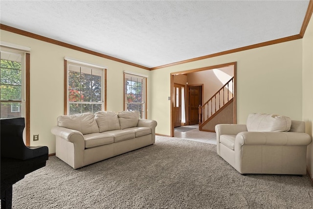 403 Lundy Ct, Cranberry Twp, PA 16066 - carpeted living area with plenty of natural light, stairs, and ornamental molding
