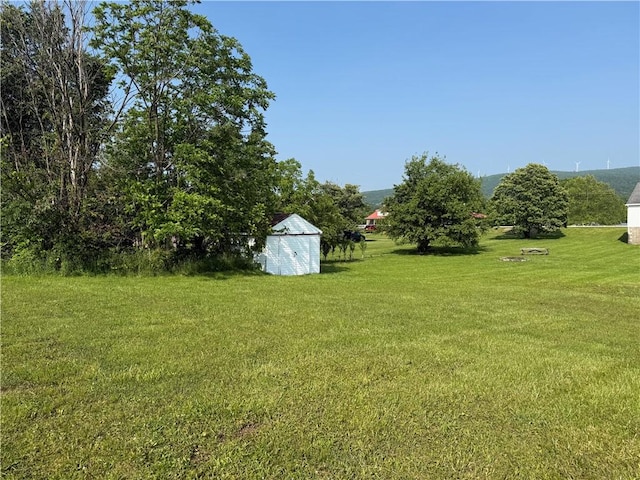 2193 Springhill Furnace Rd, Springhill Twp, PA 15478 - view of green lawn with a storage unit