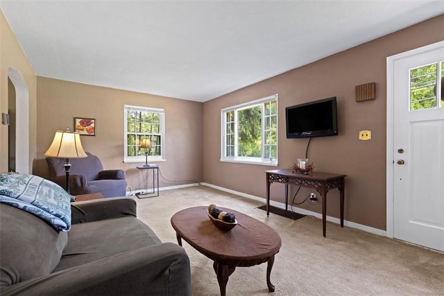190 Wexford Bayne, Pine Twp Nal, PA 15090 - living area with light carpet, healthy amount of natural light, and arched walkways