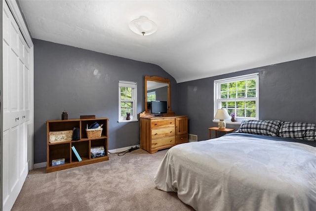 190 Wexford Bayne, Pine Twp Nal, PA 15090 - bedroom featuring lofted ceiling, multiple windows, carpet floors, and a closet
