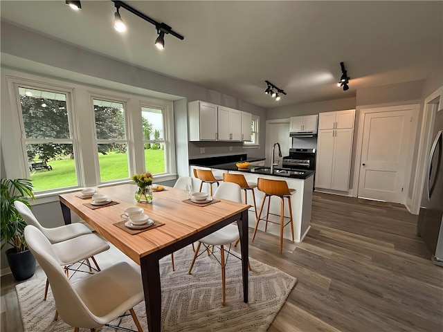 4352 Ellwood Rd, Wayne Twp Law, PA 16101 - dining area featuring rail lighting and dark wood-style floors