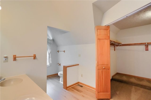 135 Jarod Dr, Moon/Crescent Twp, PA 15108 - bathroom with a spacious closet, lofted ceiling, wood finished floors, and double vanity