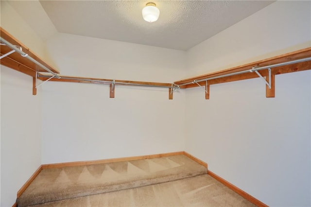 135 Jarod Dr, Moon/Crescent Twp, PA 15108 - walk in closet with light colored carpet