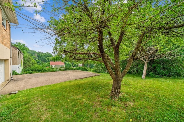 4154 Steiger St, Castle Shannon, PA 15234 - view of green lawn
